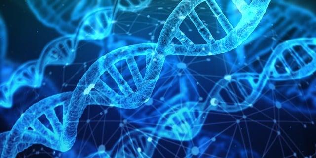 Como a genética influencia a prevenção de doenças